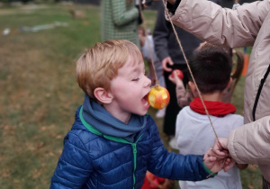 Na zdjęciu chłopiec w niebieskiej kurtce próbuje ugryźć jabłko zawieszone na sznurku. Obok niego widać inne dzieci.