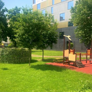 Zdjęcie przedstawia ogróg Przedskzola nr 24. Zielona trawa, drzewa. Kolorowy plac zabaw, na powierzchni miękkiej o kolorze pomarańczowym.