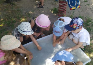 Kolorowo ubrane dzieci bawią się w ogrodzie przedszkolnym wodą nalaną do pojemnika.
